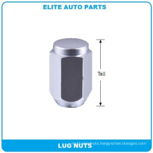 Acorn Hex Nuts for Car